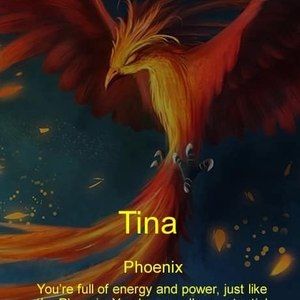 Meet your Posher, Tina